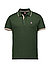 Polo-Shirt, Baumwolle, tannengrün - tannengrün