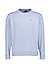 Sweatshirt, Baumwolle, hellblau - hellblau