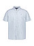 Kurzarmhemd Berkeley, Regular Fit, Bauwolle, Button-Down, hellblau - hellblau