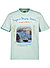 T-Shirt Photos90, Baumwolle, anice - anice
