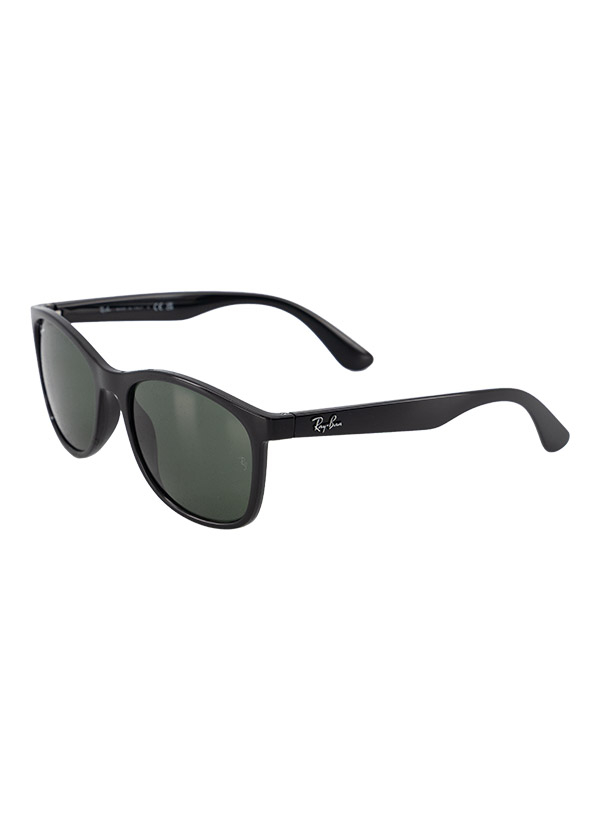 Ray Ban Sonnenbrille 0RB4374/601/31
