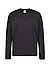 Longsleeve Arvid, Baumwolle mercerisiert, schwarz - schwarz