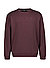 Sweatshirt, Baumwolle, plum - plum
