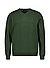 Pullover, Baumwolle-Kaschmir, tannengrün - tannengrün