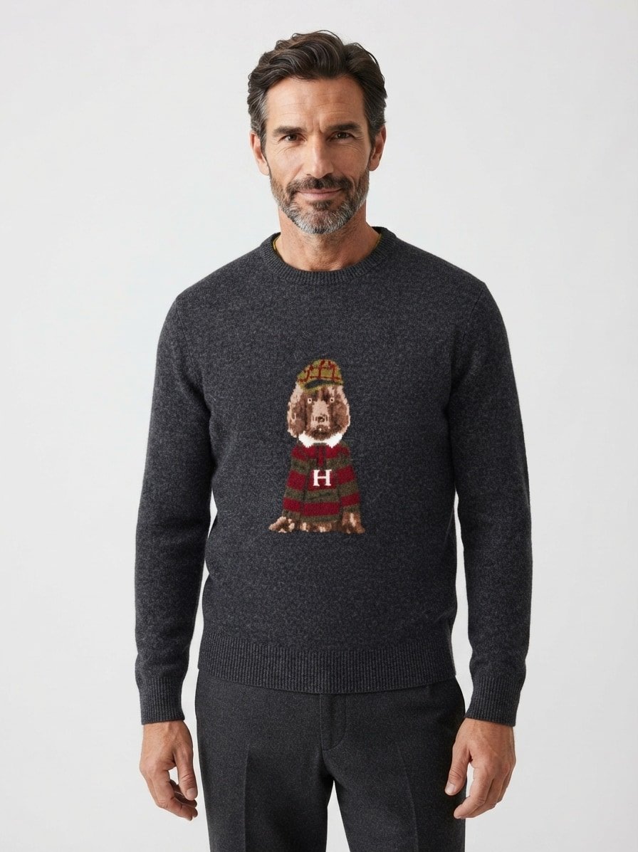 Pullover Harry Edition, Merino-Wolle, anthrazit