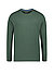 Longsleeve, Slim Fit, Baumwoll-Stretch, grün - grün