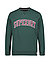 Sweatshirt, Baumwoll-Stretch, grün - grün