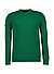 Pullover, Baumwolle, grün - grün