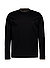 Longsleeve Tenison, Slim, Baumwoll-Jersey mecerisiert, schwarz - schwarz