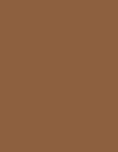 Wolford Luxe 9 Toeless Tights honey 17055/4060 Image 1