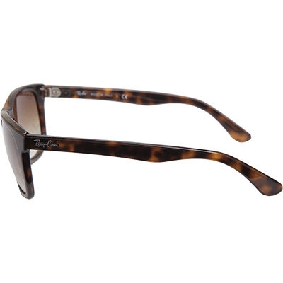 Ray Ban Sonnenbrille 0RB4181/710/51/2NDiashow-2