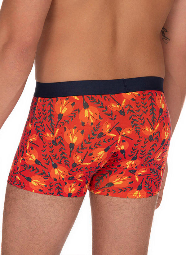 bruno banani Shorts 2er Pack Flower 2201-2776/3165 Image 1