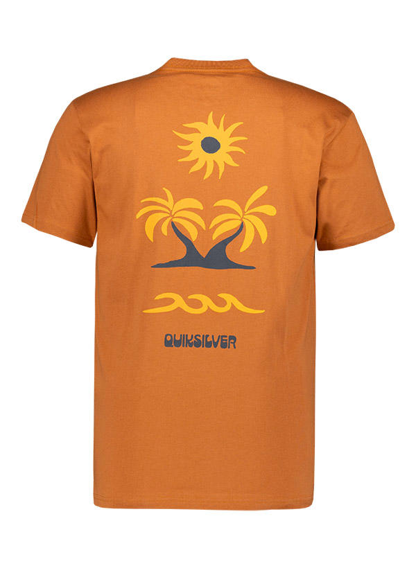 Quiksilver T-Shirt EQYZT08036/CNM0 Image 2