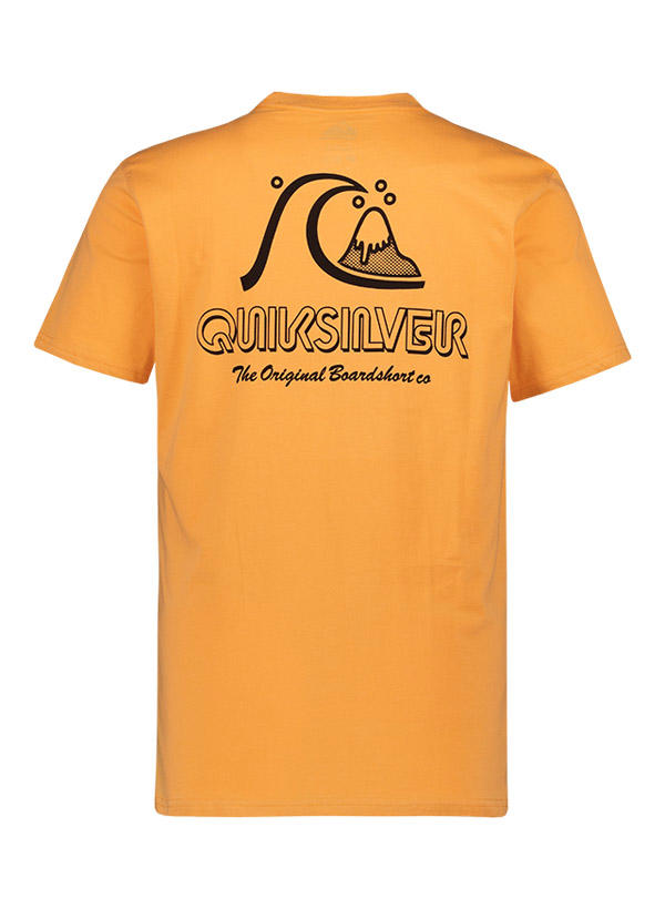 Quiksilver T-Shirt EQYZT08039/NGR0 Image 2
