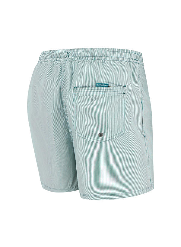 Quiksilver Badeshorts EQYJV04101/BSJ0 Image 1