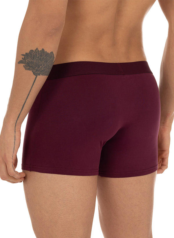 bruno banani Shorts 2er Pack Flow. 2203-1388/3255 Image 1