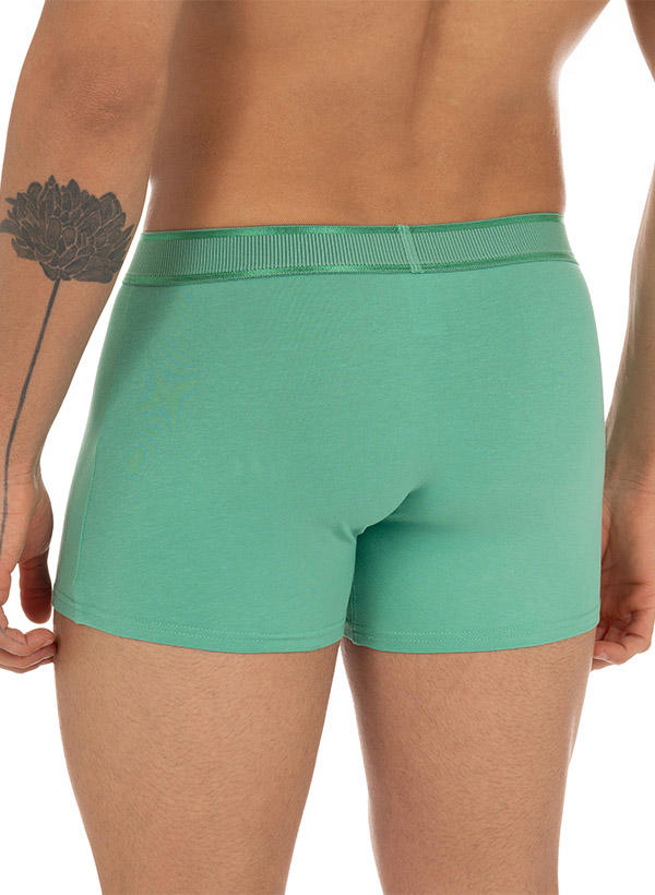 bruno banani Shorts 2er Pack Pot. 2201-2871/3258 Image 3