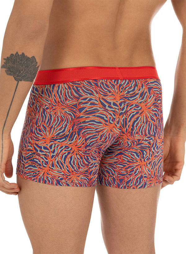 bruno banani Shorts 2er Pack Brain 2201-2873/3260 Image 1