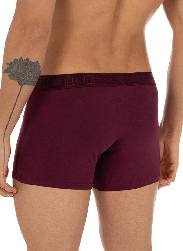 bruno banani Shorts 2er Pack Maze 2201-2874/3261 Image 3