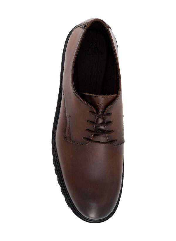 LLOYD SELECT 117G braun 25-633-05 Image 1