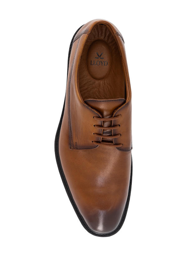 LLOYD X-MOTION 110 braun 25-529-03 Image 1