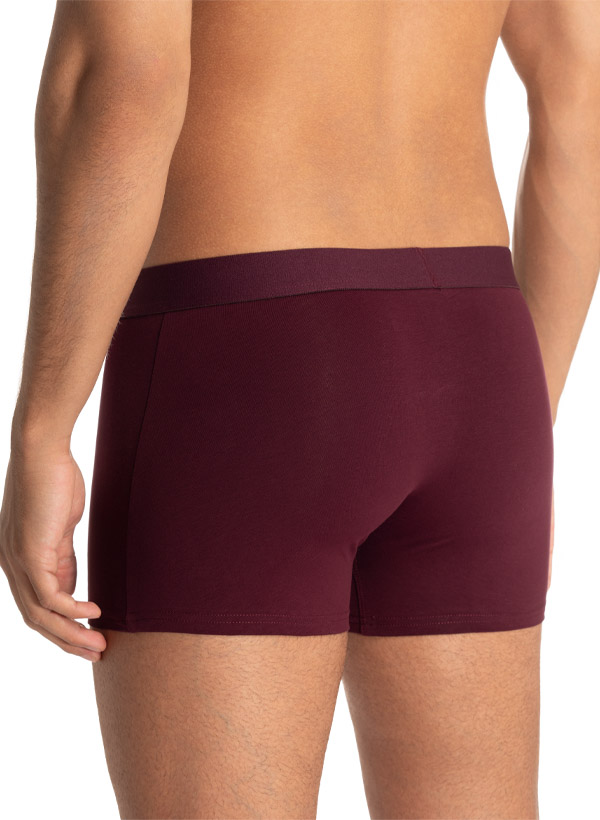 bruno banani Shorts 2er Pack Flow. 2203-1388/3293 Image 1
