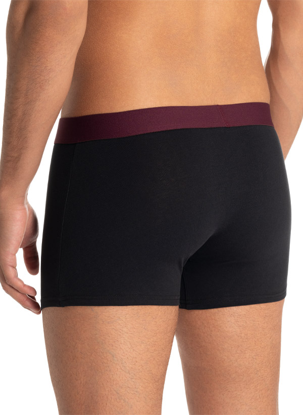 bruno banani Shorts 2er Pack Flow. 2203-1388/3293 Image 3