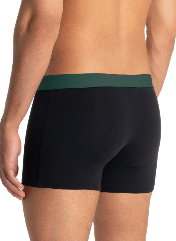 bruno banani Shorts 2er Pack Flow. 2203-1388/3295 Image 3