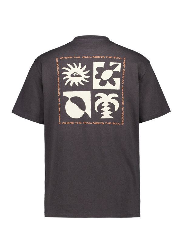 Quiksilver T-Shirt EQYZT08264/KTA0 Image 2