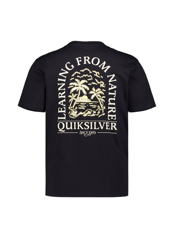 Quiksilver T-Shirt EQYZT08265/KVJ0 Image 2