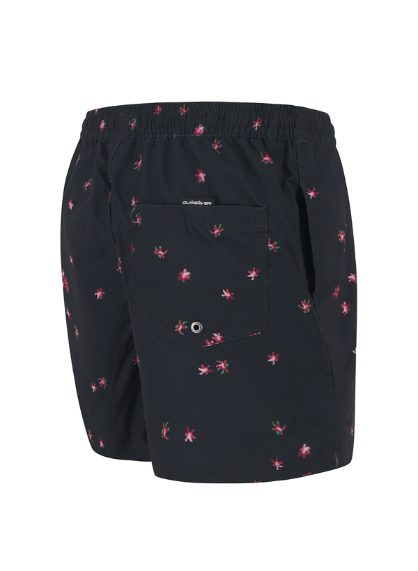 Quiksilver Badeshorts EQYJV04219/KVJ7 Image 1