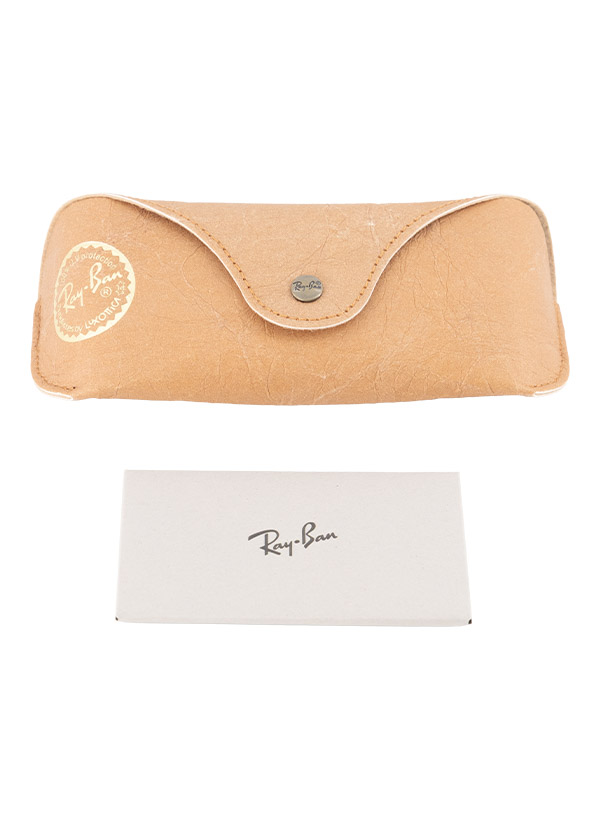 Ray Ban Sonnenbrille 0RB4455/667781 Image 2