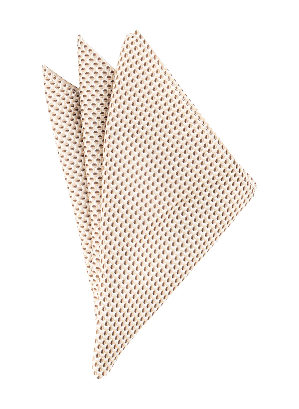 bugatti Schleife+Einstecktuch 6150/70050C/40 Image 2