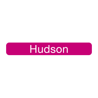 Hudson logo