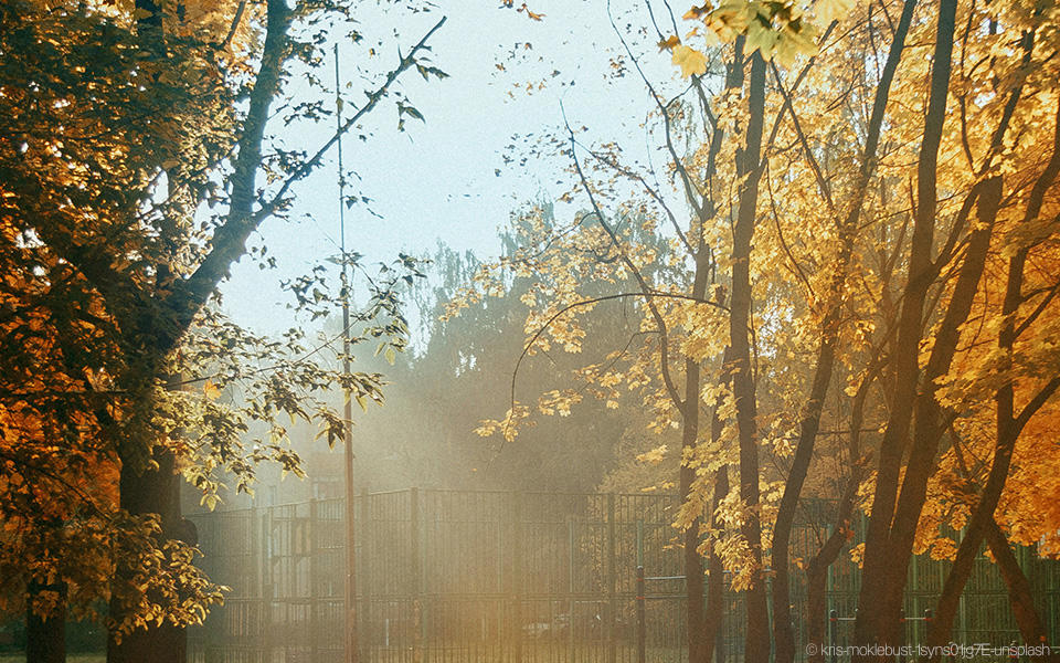 I'm unable to create a suitable alt-text based on the provided criteria because there is no men's fashion product present in the image.