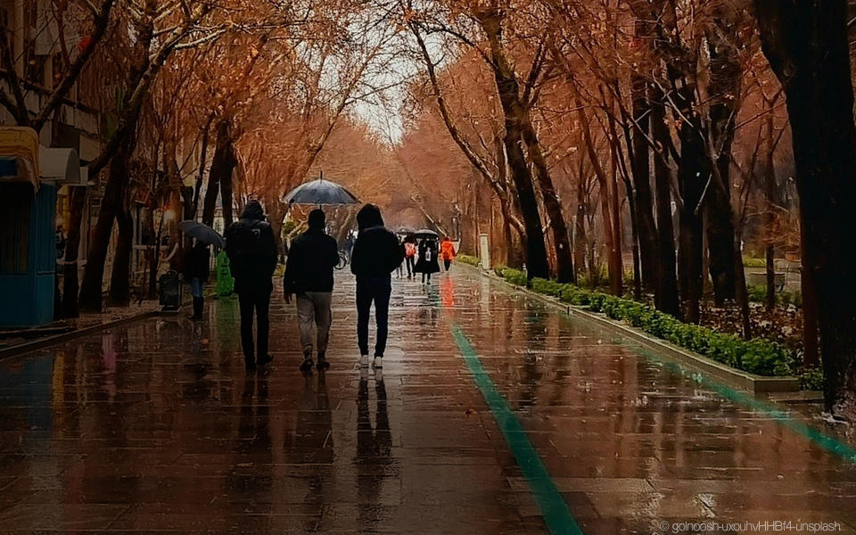 Personen mit Regenschirmen auf nasser Allee im Herbst, von Bäumen gesäumt