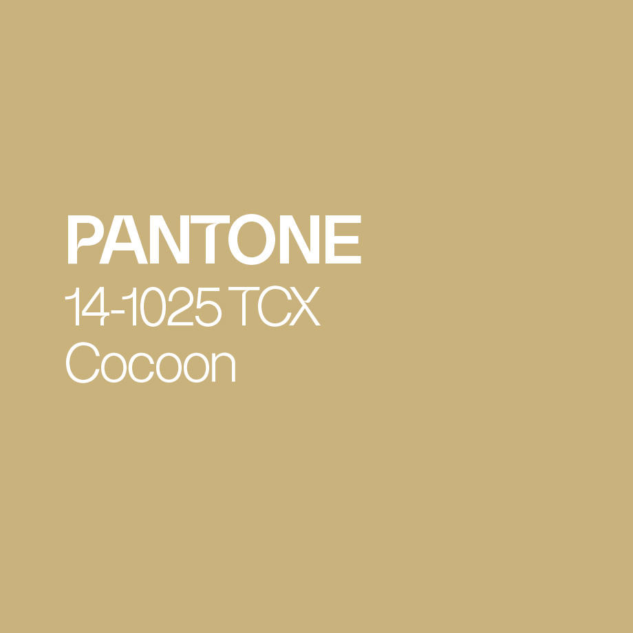 Das Bild zeigt die Pantone Farbe Cocoon 14-1025 TCX