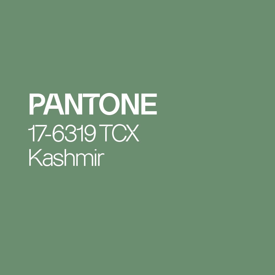 Das Bild zeigt die Pantone Farbe Kashmir 17-6319 TCX