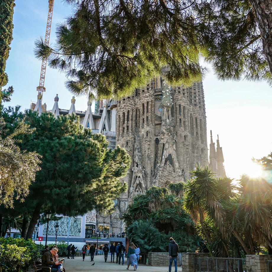 Die Sagrada Família in Barcelona, umgeben von grünen Bäumen in einem Park. Die beeindruckende Fassade der Basilika mit ihren filigranen Details ragt in den Himmel, während die Sonne durch die Äste scheint. Im Vordergrund spazieren Menschen oder sitzen auf Bänken. Ein Baukran ist im Hintergrund zu sehen, da die Kirche noch im Bau ist.
